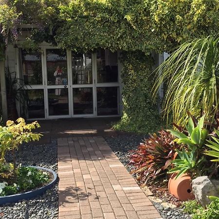 The Olive Grove Guest House Te Kopuru Exterior foto